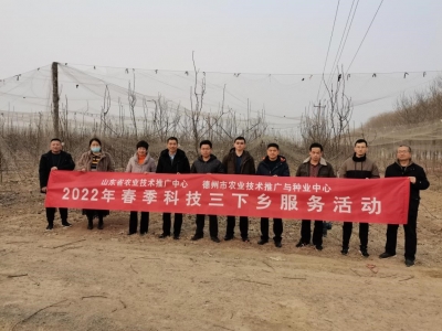 省农技推广中心与德州联合 开展果树科技三下乡活动