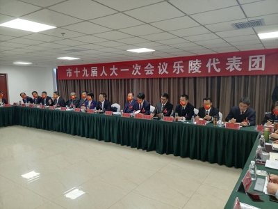 卜祥联参加乐陵代表团审议时强调 发挥优势 补齐短板 推动各项事业高质量发展