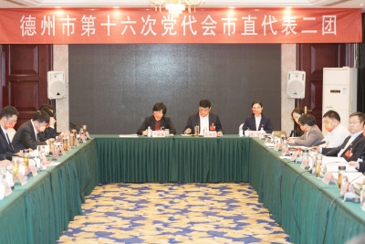 搭平台 拓思路 各项事业蓬勃发展 | 市直二团讨论十五届市委报告