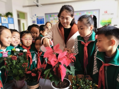 德州市实验小学春晖校区有了“植物角”