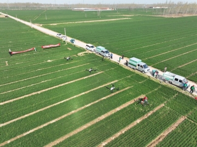 夏津县东李官屯镇首次开展统一飞防植保 | 为群众节约成本50余万元