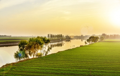 德州记忆｜德州的“隐语”