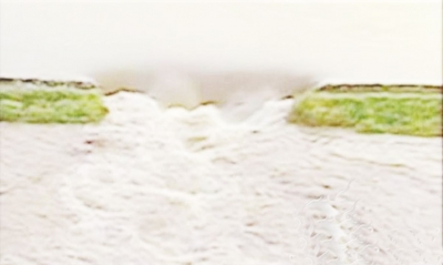 德州文史｜张明福：1965年区域调整 武城县境东移