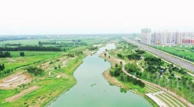 工作研究｜宁津县委书记高善玉：守护“宁津蓝”打造绿色发展县域模板