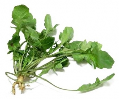 诗｜雷玉廷：剜荠菜