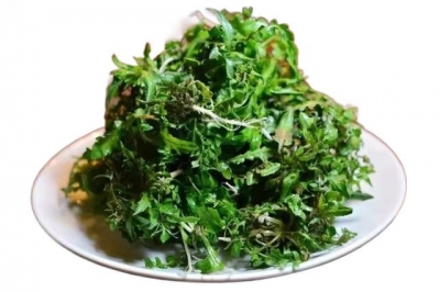 诗 | 林荣艳：春吃荠菜（外一首）