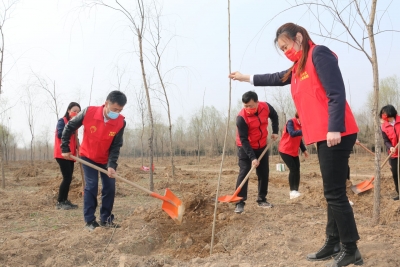 邮储银行德州市分行 | 开展春季义务植树活动
