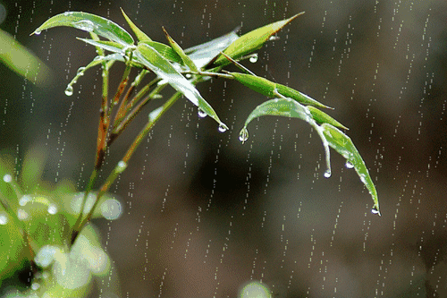 降温+降水组合来袭！12日德州中雨，最高气温下降10℃