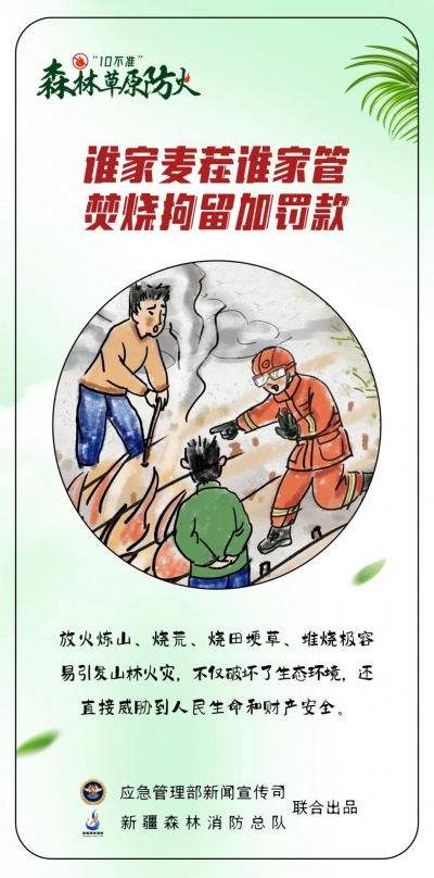 森林草原防火季｜图说：森林草原防火“十不准”