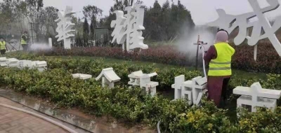 德州市园林绿化服务中心：应对寒潮天气，为新栽植常绿植物“保暖”