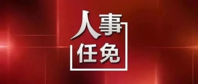 刘强同志任济南市委书记