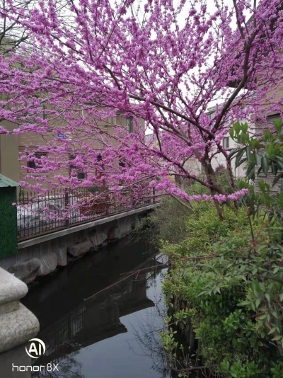 诗 | 张清昌：春分