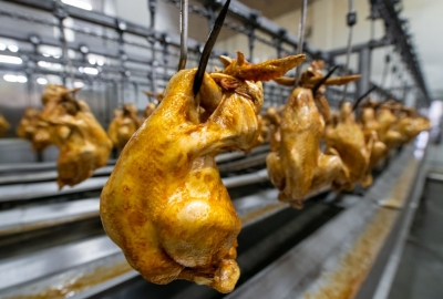 党报记者推荐榜｜你以为德州扒鸡只生产鸡？错！