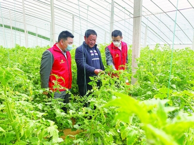 “金融春雨”助力春耕备播 | 今年以来，德州农商银行累计投放涉农贷款3.2亿元 