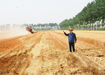 直通全国两会 | 全国人大代表、临邑县富民小麦种植专业合作社理事长魏德东：绿色生产提升粮食品质