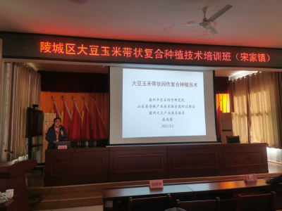 陵城区宋家镇：聚力打造精品党课 赋能乡村振兴