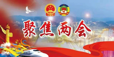 诗｜雷玉廷：贺壬寅两会