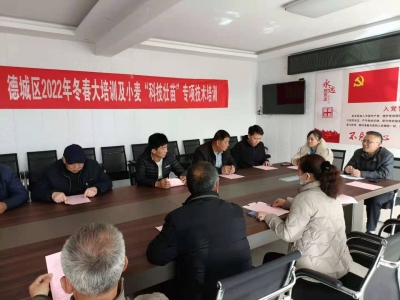 德城区：小麦“科技壮苗”专项行动走入永和社区