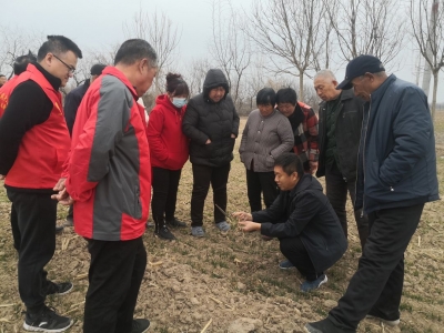 乐陵市胡家街道：农技服务下田头助春耕