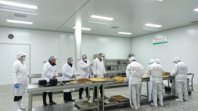 禹城莒镇 | “点对点”服务  复工复产在行动