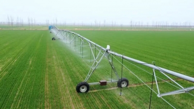 武城：科技助力麦田管理 打牢夏粮丰收基础