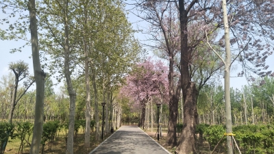 诗 | 李荣田：岁月