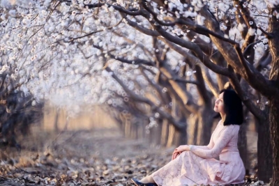 诗｜韩淑霞：致女神