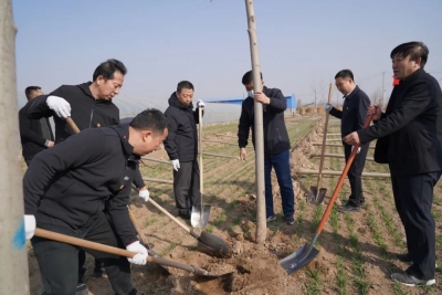 德州市直机关创城植树：党旗红引领生态绿
