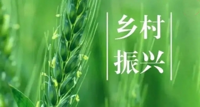 乡村振兴 率先突破 | 齐河：安防设施持续优化，“村村通”更要“路路安”