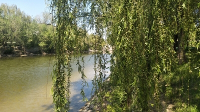 诗｜霍瑞珂：路过马颊河的水