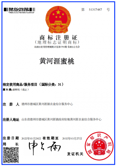 再添新名片！“黄河涯蜜桃”成功获批国家地理标志证明商标
