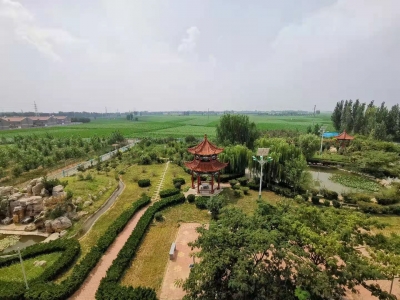 诗｜王永振：情至深处春更浓