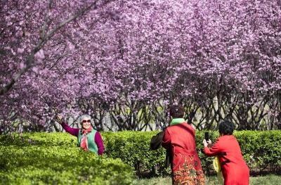 诗 | 李荣田：四月