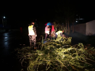 宁津公路分中心:  连夜处置倒伏树木  保障国道104安全畅通