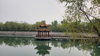 诗 | 张清昌：赏景九龙湾