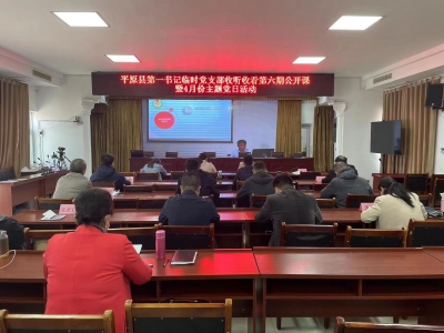 市派第一书记平原县临时党支部开展贯彻落实乡村振兴工作会议精神暨4月份主题党日活动