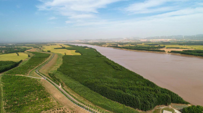 建设生态文明 呵护碧水蓝天|居全市首位！齐河春季造林绿化9190亩