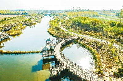 诗｜希音东听：等蝴蝶飞落在花朵上