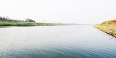 散文 | 高书峰：春日野望马颊河