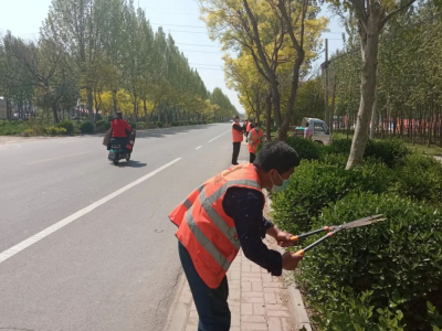 平原：修剪3.5万余棵树木扮靓道路“颜值”