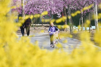 诗 | 林荣艳：谷雨