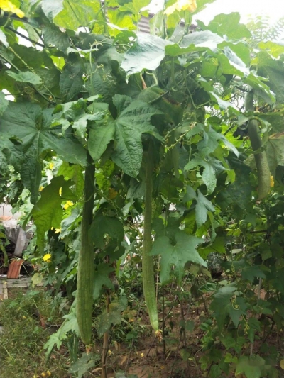 美文｜李兴智：一个难忘的“五一”劳动节