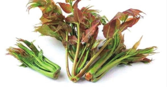 诗｜郭仲凤：在人生的渡口等你（外三首）