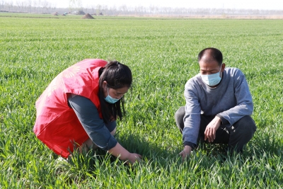 庆云徐园子乡：不误农时不负春