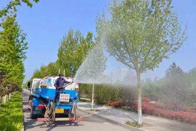 齐河：多举措治理杨柳飞絮 营造宜居环境