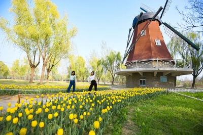 诗｜雷玉廷：壬寅春踏青