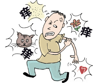 急性荨麻疹 | 德州市第七人民医院专家：皮肤过敏切忌胡乱用药