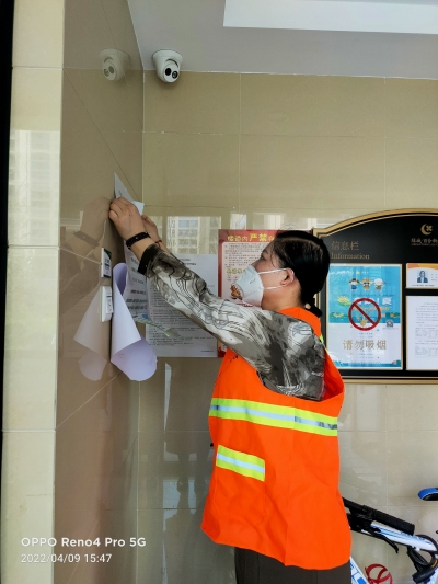 助力全国文明城市创建！齐河：聚焦民生  公益岗铺好就业路    