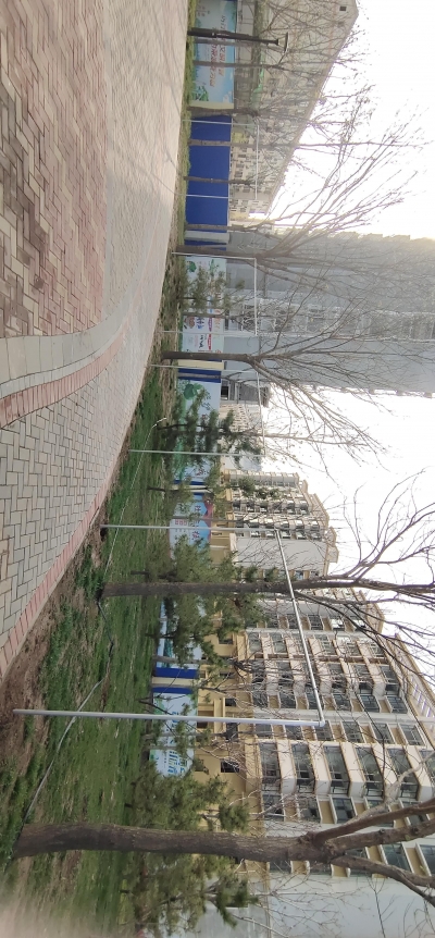 创建全国文明城市 | 改造廊架、设置遛鸟区、增设挂衣架，德州园林：小处着手，打造舒心游园环境 