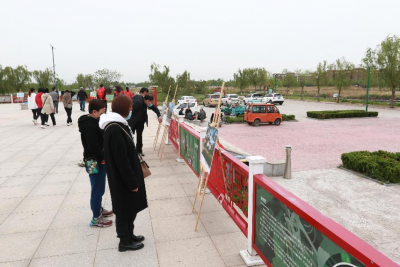 珍爱地球 人与自然和谐共生 | 夏津：开展世界地球日宣传活动